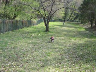e0080117_0112562.jpg