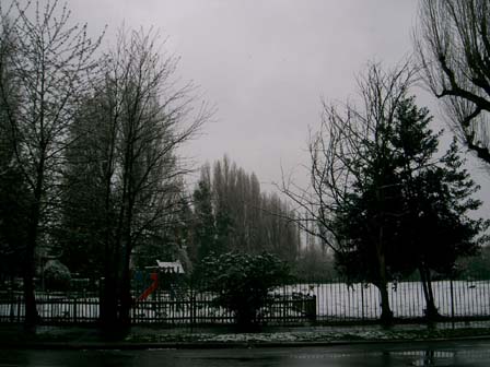 f0138217_254399.jpg