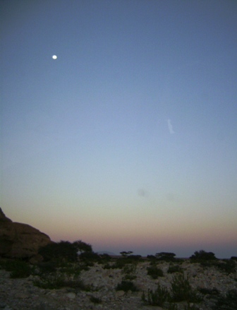 a0090924_52237100.jpg