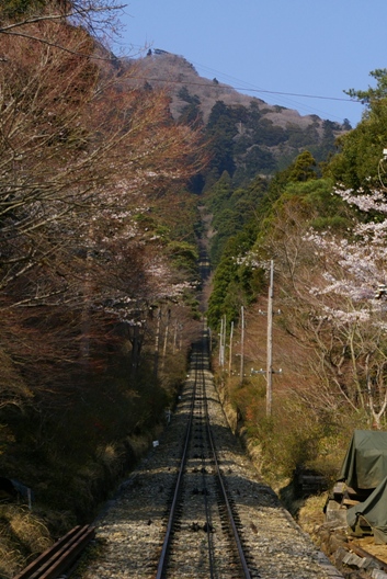 c0107924_2234363.jpg
