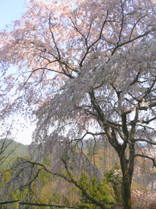 e0009324_2216597.jpg