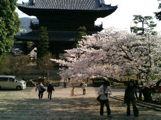 f0054428_23384310.jpg