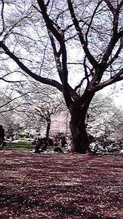 c0086230_1851822.jpg