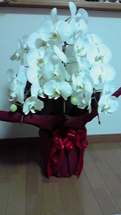 c0086230_1884032.jpg