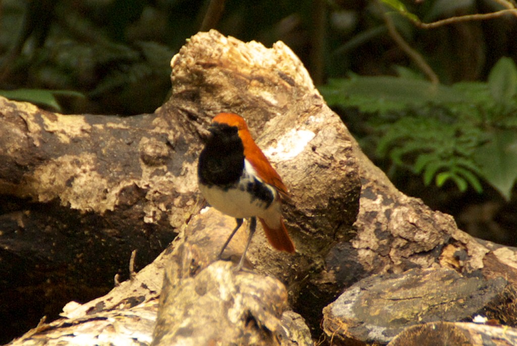 d0053930_6261949.jpg