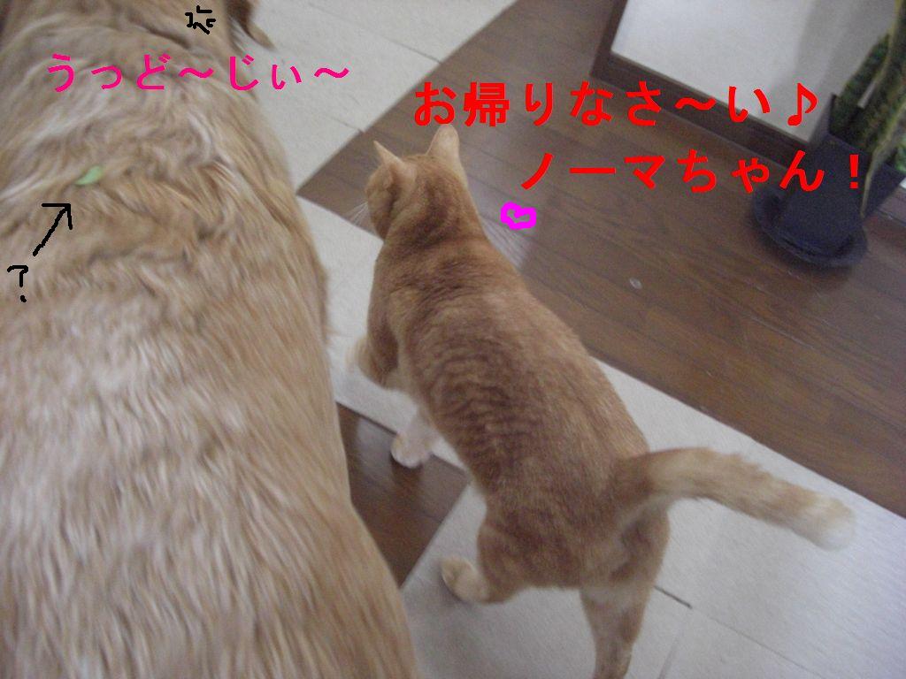 e0142430_0512996.jpg