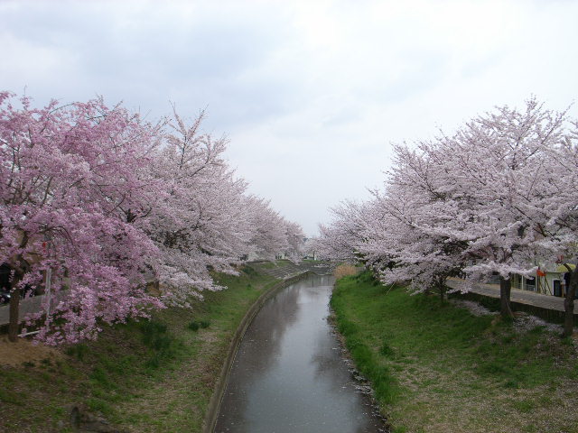 d0105133_21595556.jpg