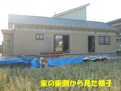 f0008935_12541690.gif