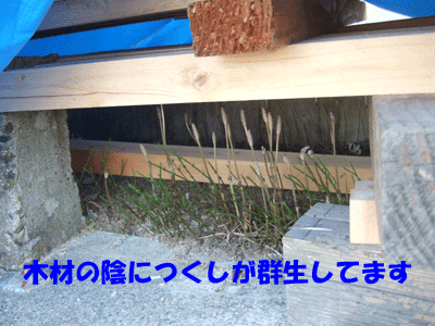 f0008935_12582674.gif