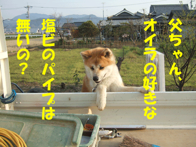 f0008935_13102423.gif