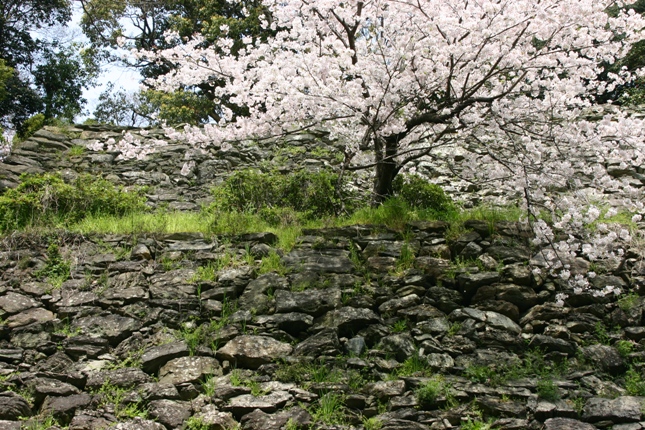 e0083238_21104490.jpg