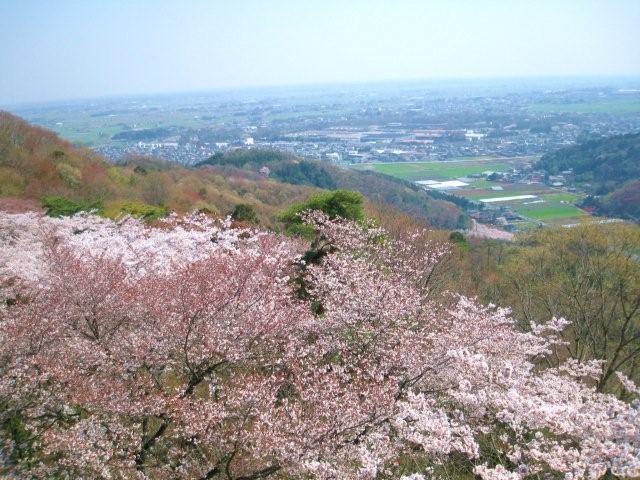c0130741_213260.jpg