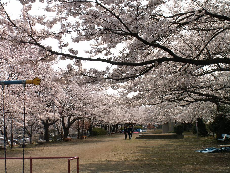 c0118949_06537.jpg