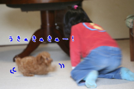 d0013149_143999.jpg