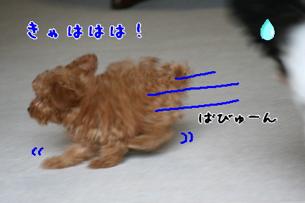 d0013149_181918.jpg