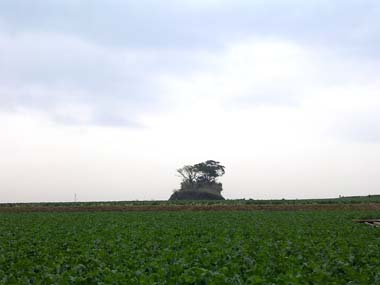 b0078754_19353814.jpg