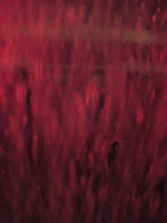 e0028656_23113155.jpg