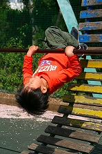 a0098859_2247157.jpg