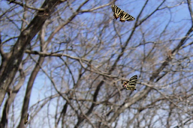 c0043361_23221135.jpg