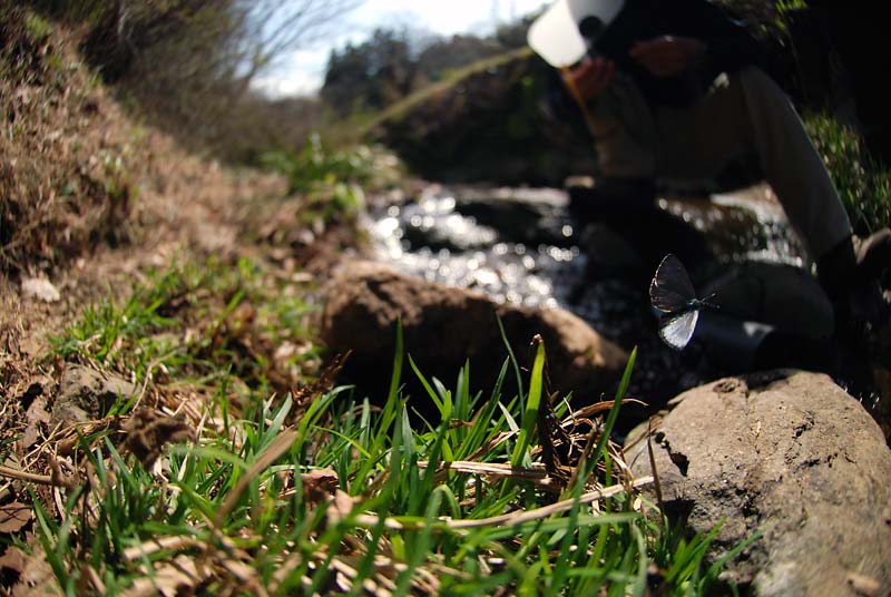 c0043361_2333097.jpg