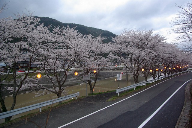 c0020265_20372120.jpg
