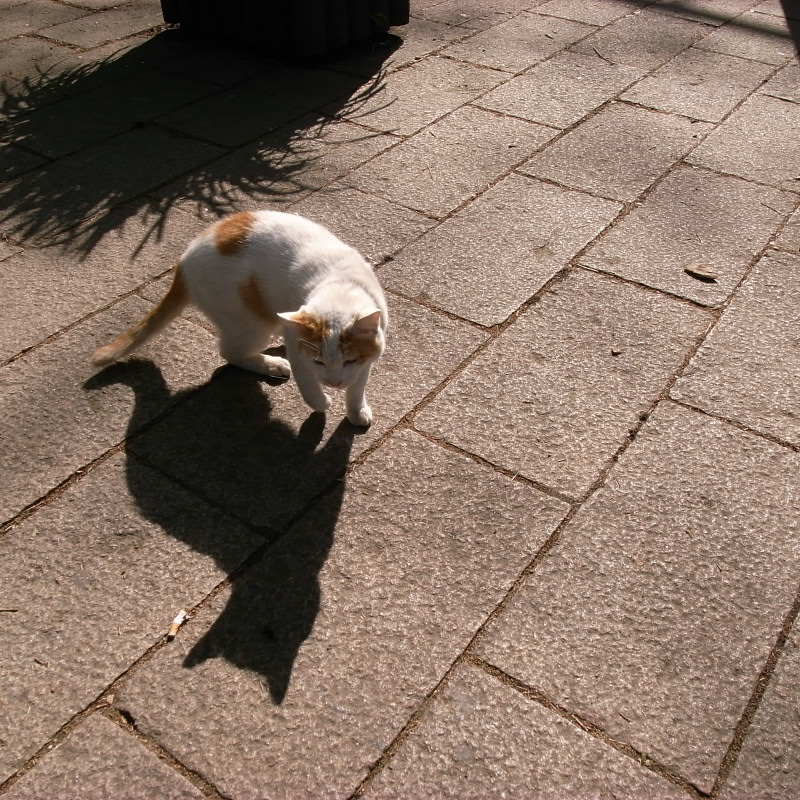 c0084666_5504450.jpg