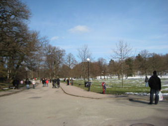e0079166_2284454.jpg
