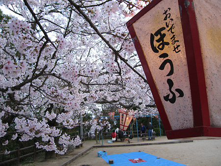 c0104371_114320.jpg