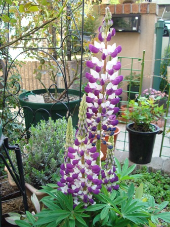 e0025872_17463898.jpg