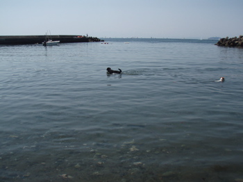f0045872_13132717.jpg
