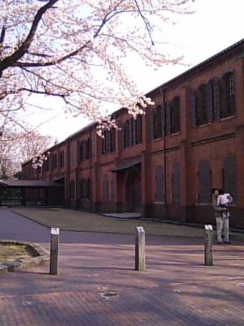 f0107072_044659.jpg