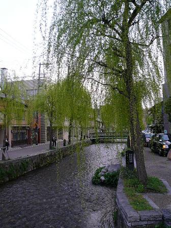 d0147774_14245630.jpg