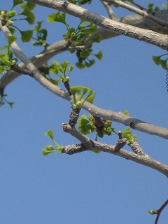 b0117276_23295557.jpg