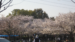 b0117276_23301867.jpg