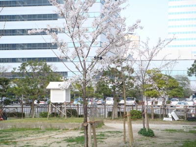 f0153479_1536439.jpg