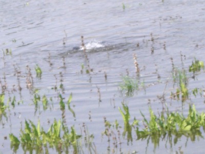 c0078480_18115734.jpg
