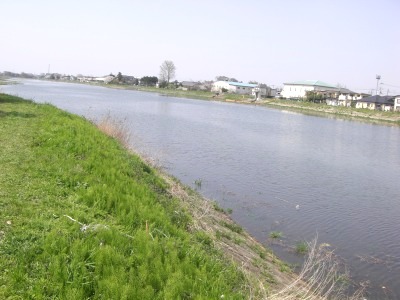 c0078480_18452277.jpg