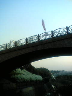 f0100480_19125946.jpg