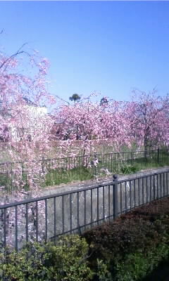 c0096582_11534914.jpg