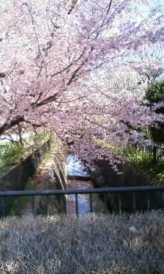 c0096582_11574095.jpg