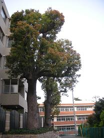 d0129083_9452433.jpg