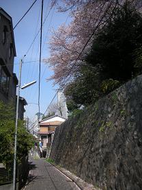 d0129083_965131.jpg