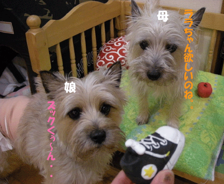 e0066883_22201275.gif