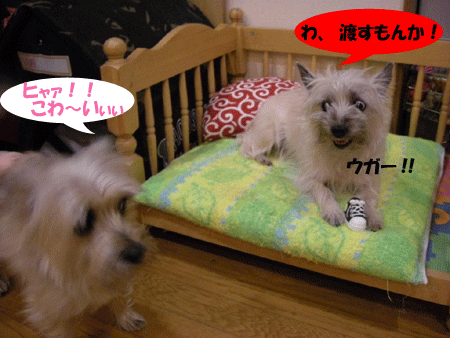 e0066883_22231059.gif