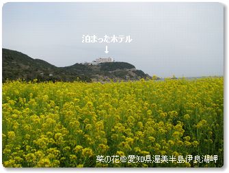 a0067485_179028.jpg