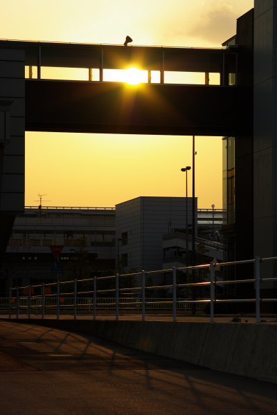 e0051186_21315266.jpg