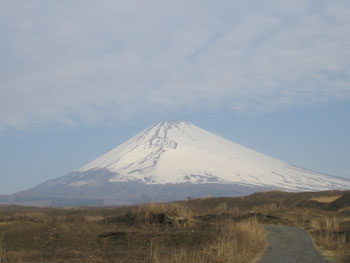 c0146788_1019236.jpg