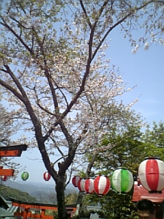 e0100589_2154722.jpg