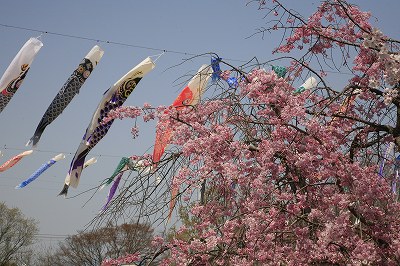 b0062793_18473572.jpg