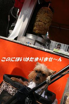b0092196_858812.jpg